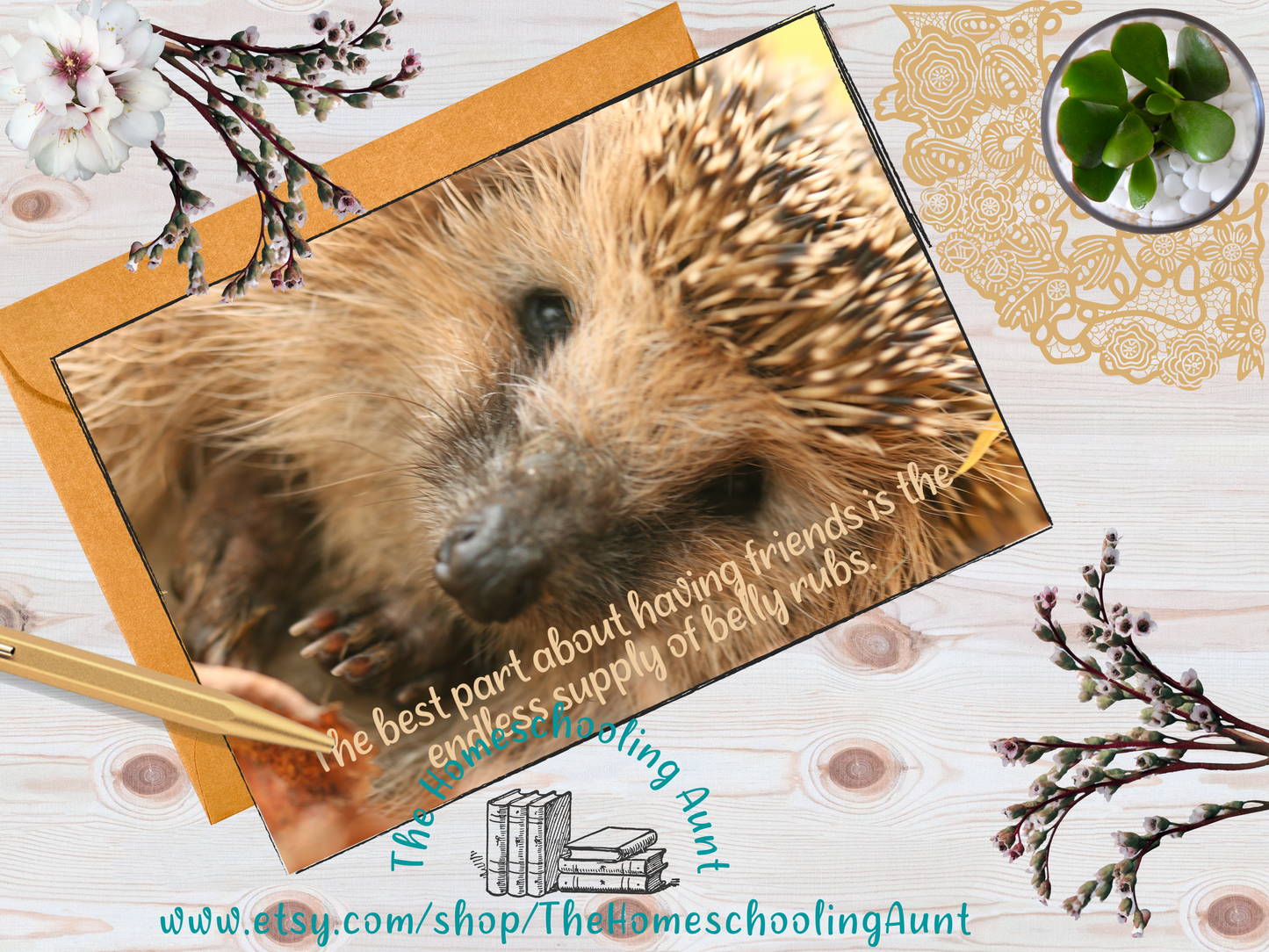 Hedgehog Greeting Cards