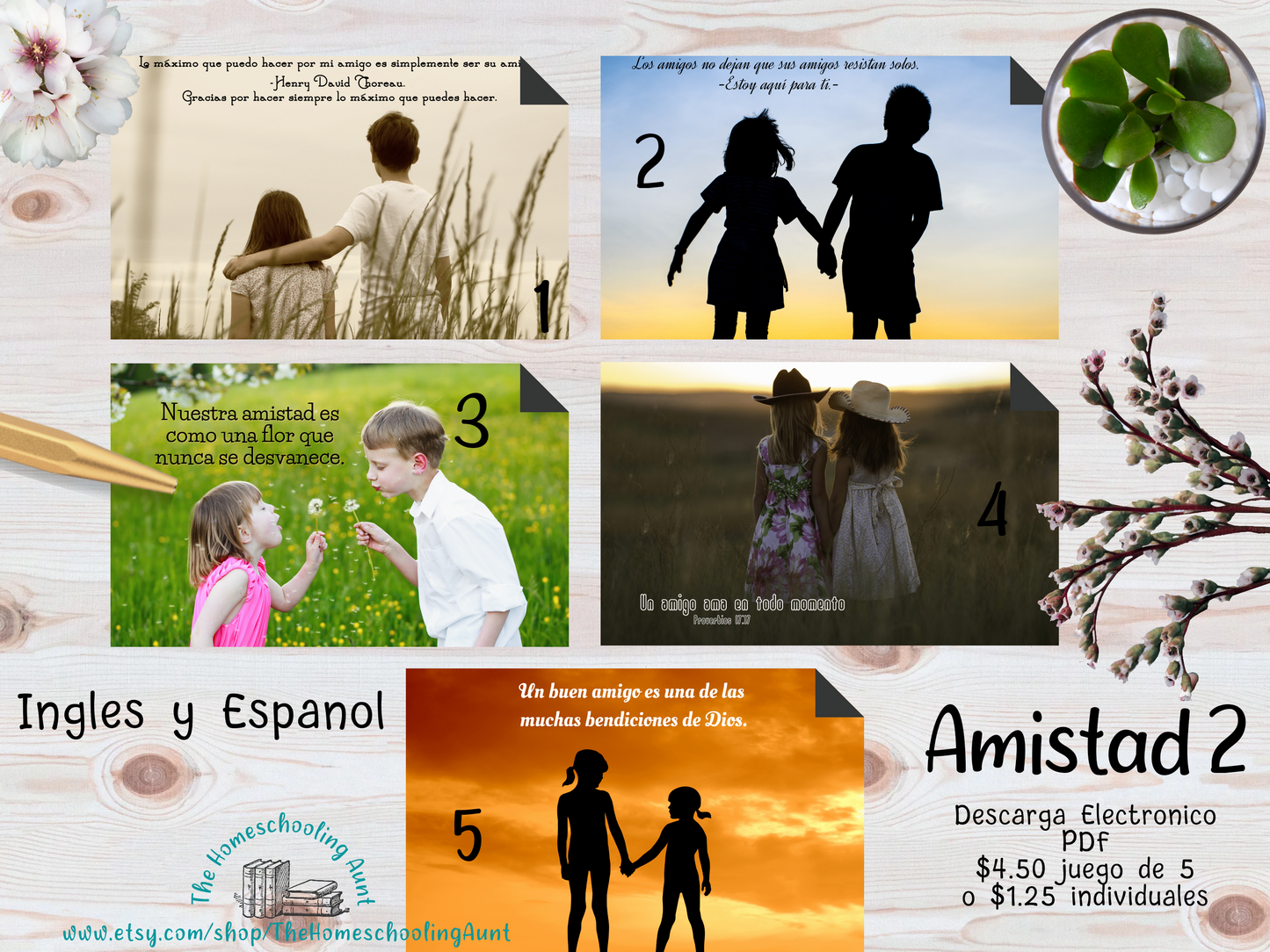 Your Choice of 120 Downloadable Cards