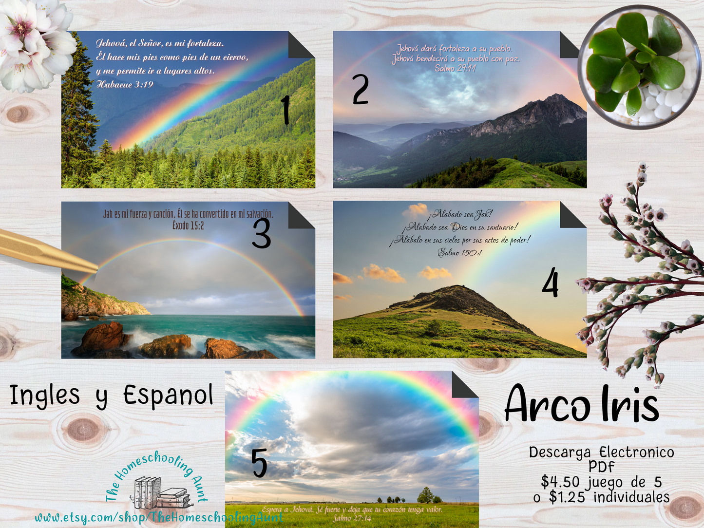 Your Choice of 120 Downloadable Cards