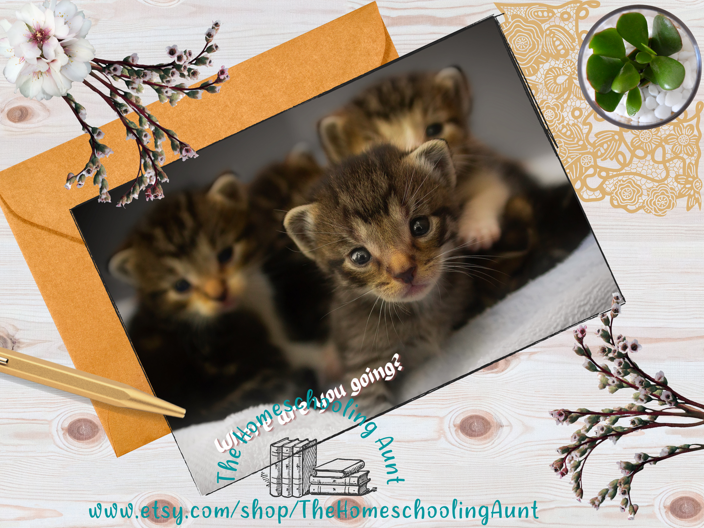 Cute Kittens Friendship Greeting Cards, Set of 5 Downloadable Cards, Funny Cards, Happy Cards, Just Because Cards, Encouragement Cards