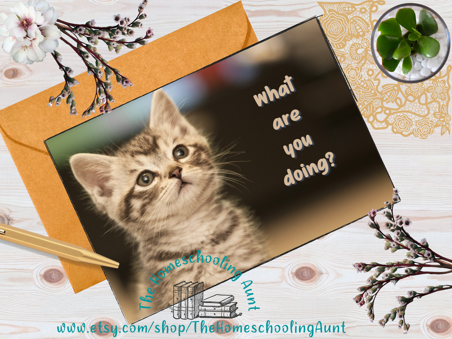 Cute Kittens Friendship Greeting Cards, Set of 5 Downloadable Cards, Funny Cards, Happy Cards, Just Because Cards, Encouragement Cards