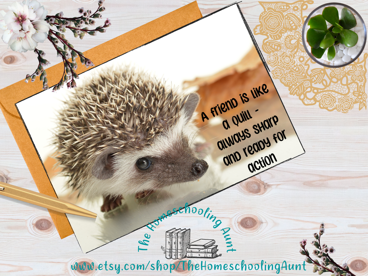 Hedgehog Greeting Cards