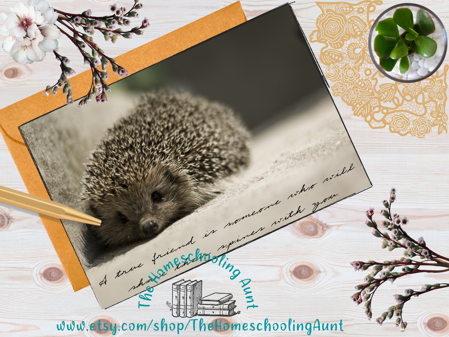 Hedgehog Greeting Cards