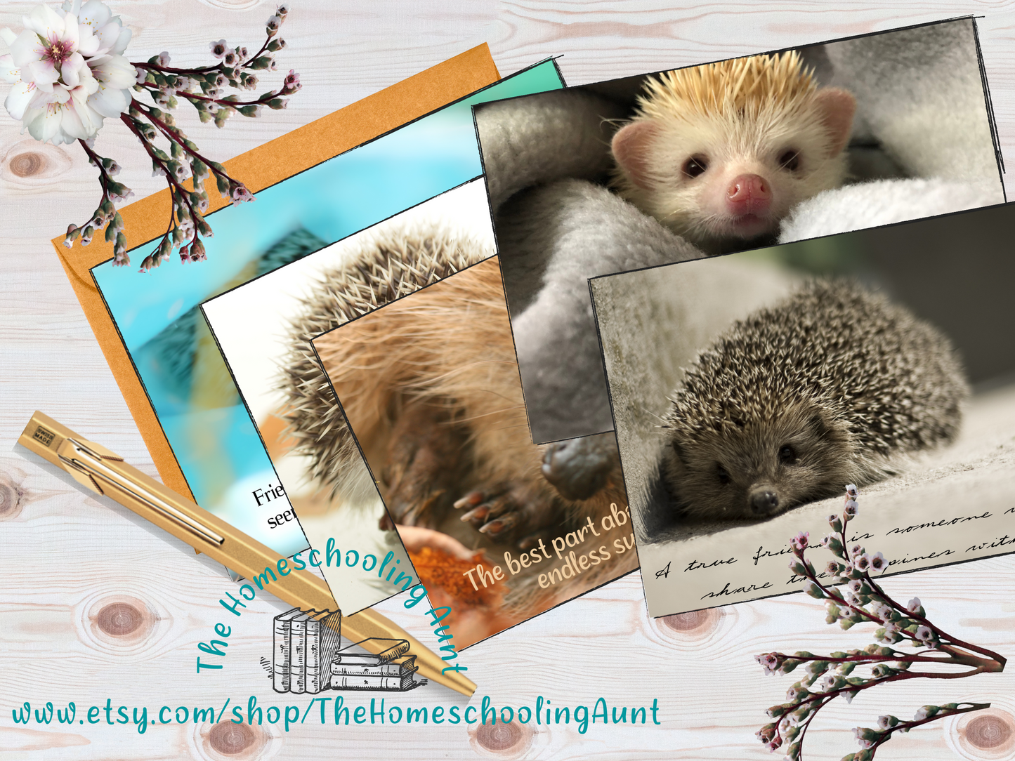 Hedgehog Greeting Cards