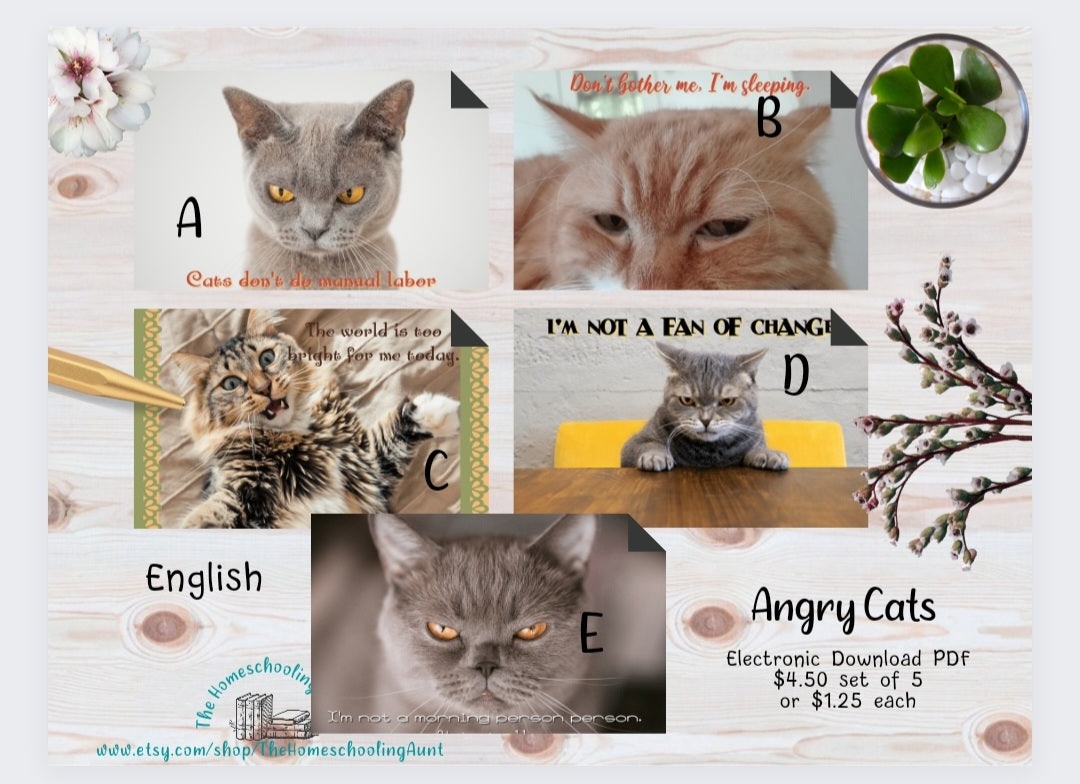 Angry Cat Greeting Cards